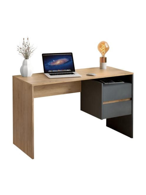 Fiókos íróasztal 125x51x75 cm barna szürke FUR1872-2